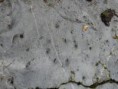 /album/fotogalerie-geologicka-lokalita-deblov/g200-jpg/