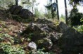 /album/fotogalerie-geologicka-lokalita-deblov/g2005-jpg/